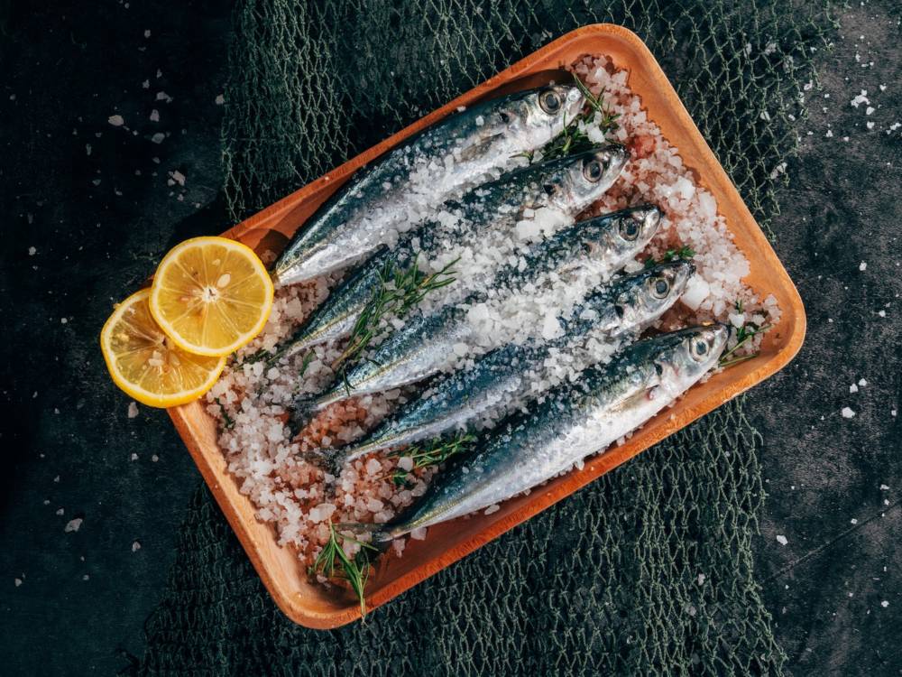 Thilo Maack sieht Fisch als Delikatesse, die nur in Ausnahmen gegessen werden sollte / ©Unsplash/Harris Vo