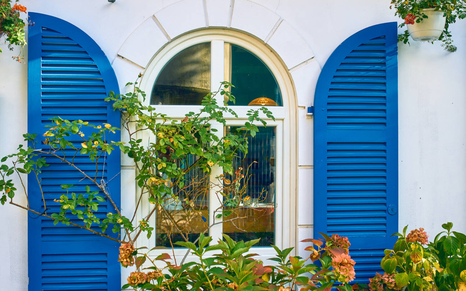 Ein Besuch in der Taverna Corfu ist wie Urlaub, obwohl das Restaurant in Bergedorf liegt / ©Marc Sill 