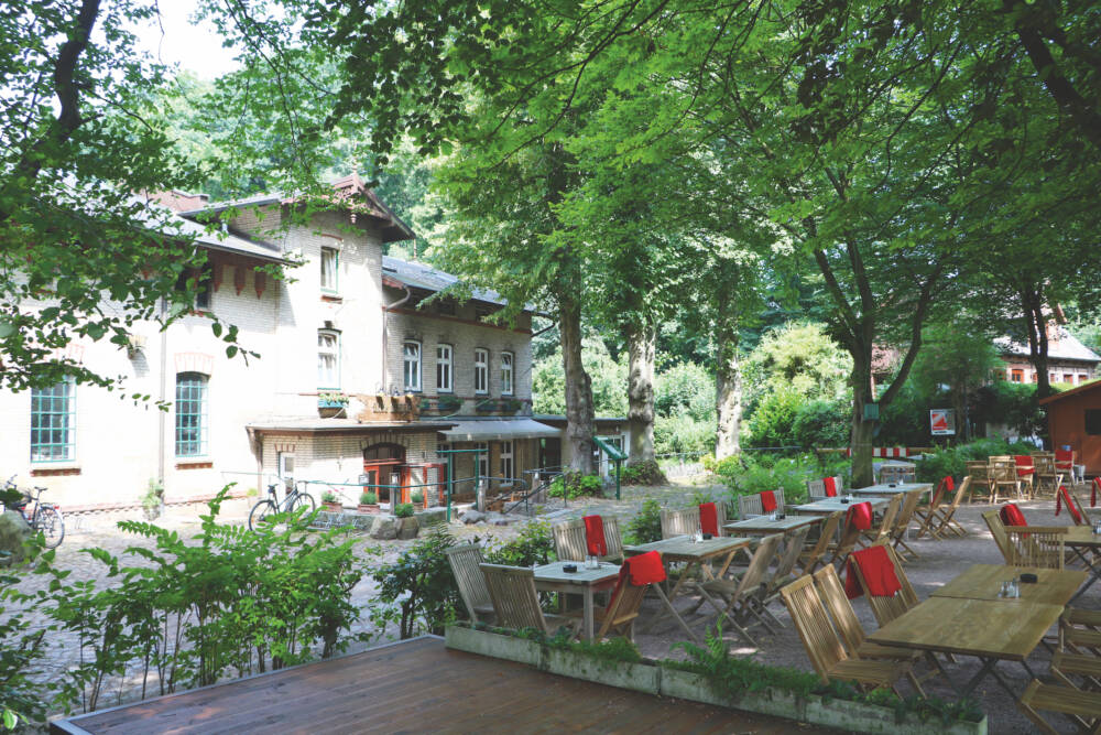 Alte Bäume spenden Schatten: In der Alten Mühle kann man herrlich draußen sitzen / ©Alte Mühle Bergstedt