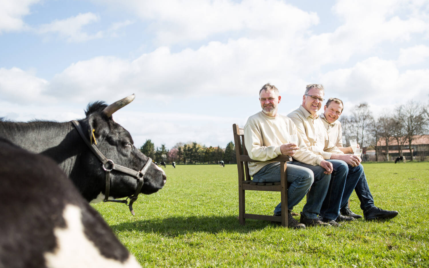 Die drei Bio-Landwirte Achim Bock, Hans Möller und Heino Dinger haben De Öko Melkburen gegründet / © Lucas Wahl 