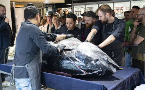 Bei einer Messe im Frischeparadies konnte das Publikum miterleben, wie ein Blauflossen-Thunfisch zerlegt wird / ©Frischeparadies