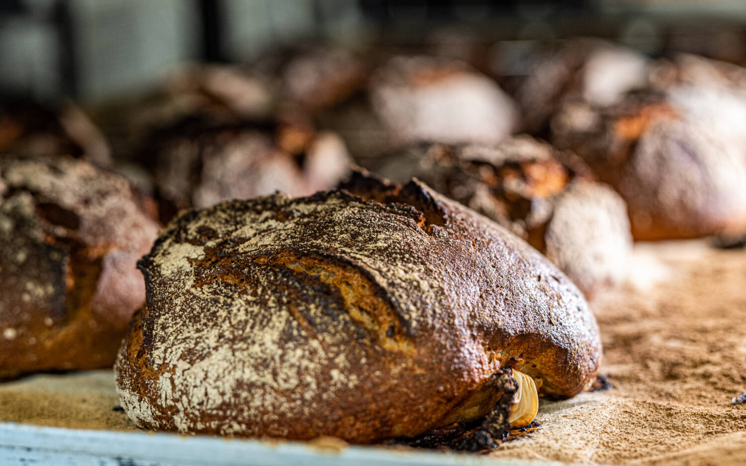 Viele der Bäckereien in Hamburg geben traditionellen Rezepten einen modernen Twist / ©Backgeschwister