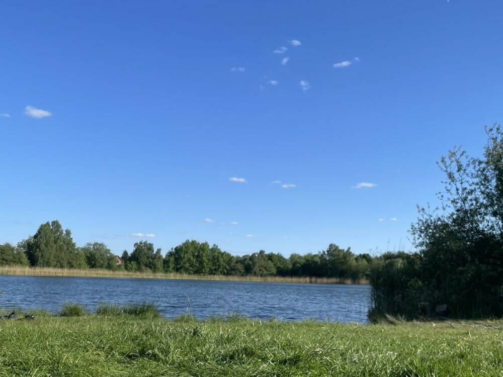 Essen gehen im idyllischen Allermöhe: Diese drei Restaurants sind einen Besuch wert /©Alina Fedorova