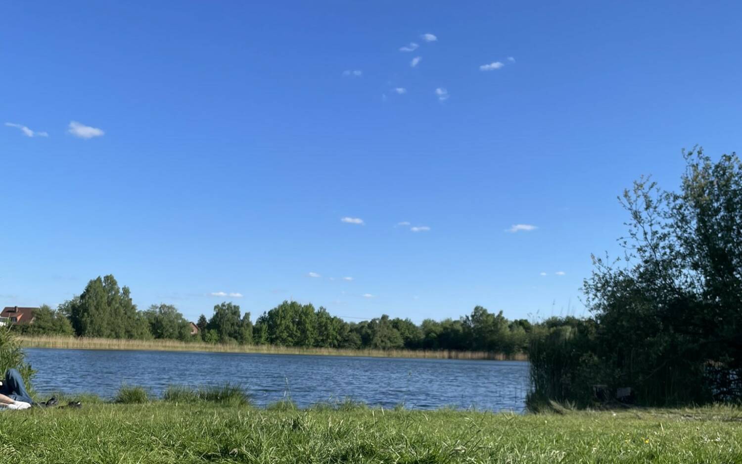 Essen gehen im idyllischen Allermöhe: Diese drei Restaurants sind einen Besuch wert /©Alina Fedorova